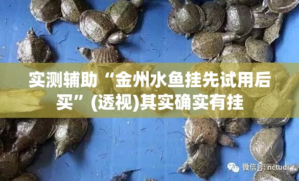 实测辅助“金州水鱼挂先试用后买”(透视)其实确实有挂