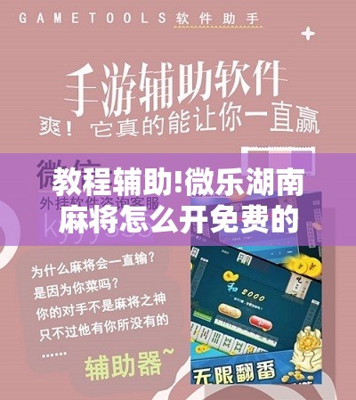 教程辅助!微乐湖南麻将怎么开免费的挂”详细分享装挂步骤