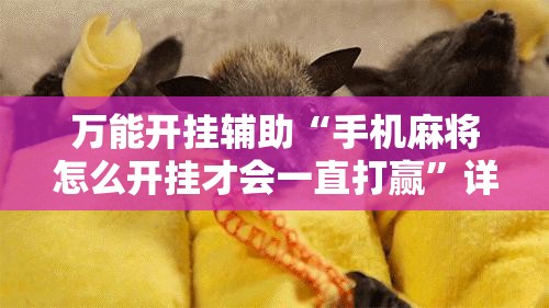 万能开挂辅助“手机麻将怎么开挂才会一直打赢”详细分享装挂步骤