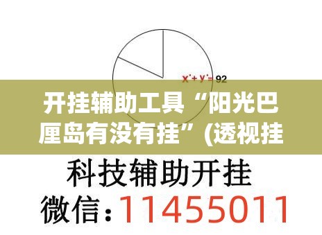 开挂辅助工具“阳光巴厘岛有没有挂”(透视挂)辅助下载教程