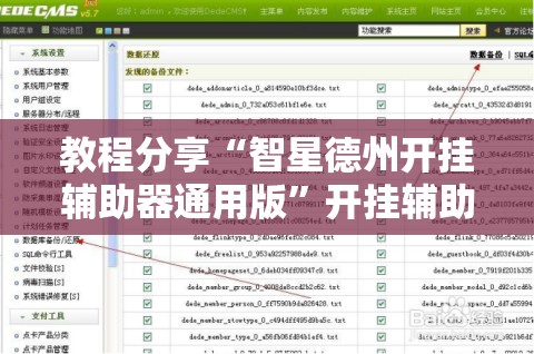 教程分享“智星德州开挂辅助器通用版”开挂辅助脚本+详细开挂安装教程