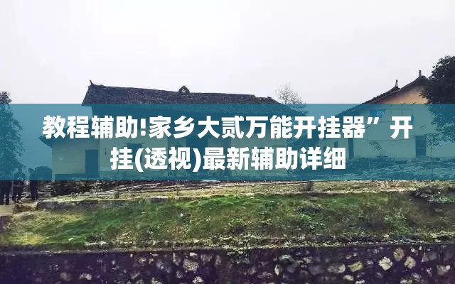 教程辅助!家乡大贰万能开挂器”开挂(透视)最新辅助详细