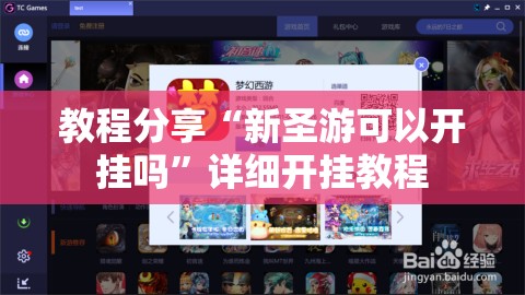 教程分享“新圣游可以开挂吗	”详细开挂教程