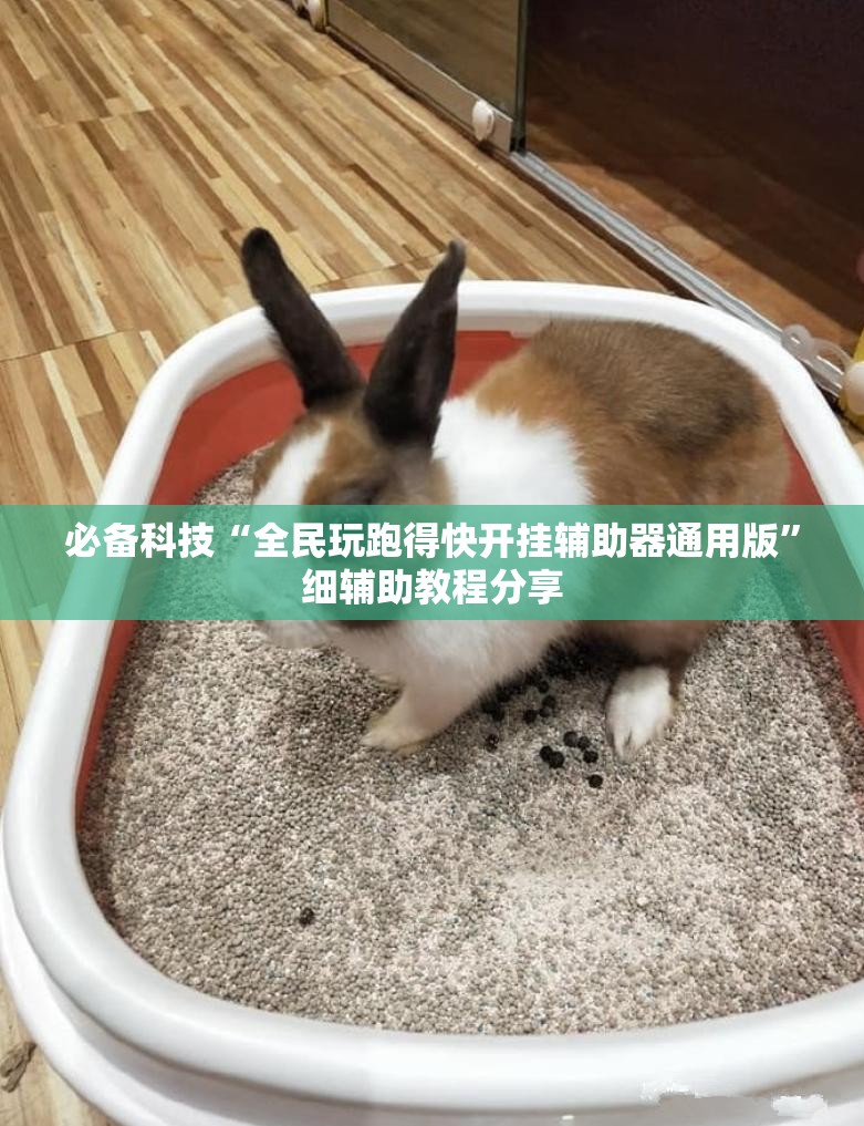必备科技“全民玩跑得快开挂辅助器通用版”细辅助教程分享