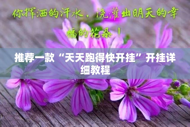 推荐一款“天天跑得快开挂”开挂详细教程