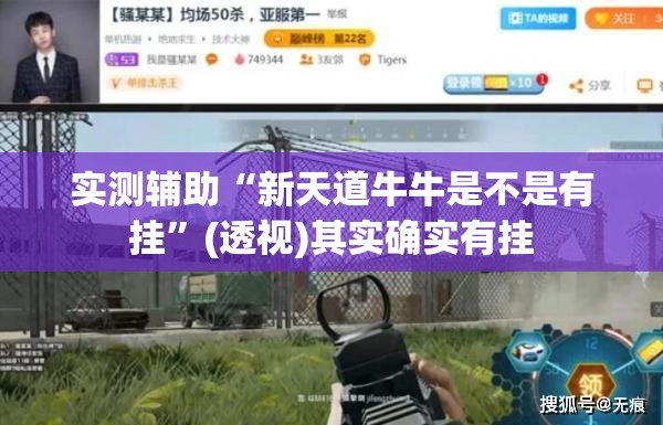 实测辅助“新天道牛牛是不是有挂”(透视)其实确实有挂