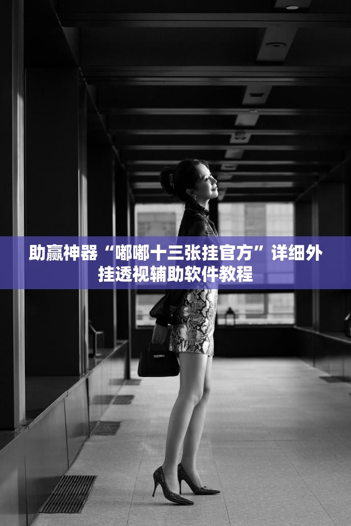 助赢神器“嘟嘟十三张挂官方”详细外挂透视辅助软件教程