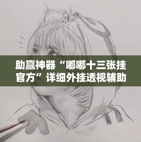 助赢神器“嘟嘟十三张挂官方”详细外挂透视辅助软件教程