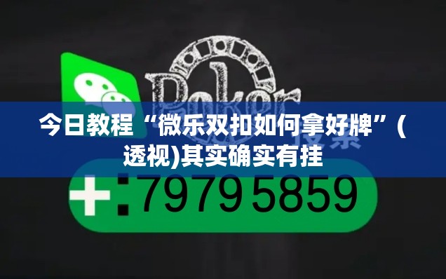 今日教程“微乐双扣如何拿好牌”(透视)其实确实有挂