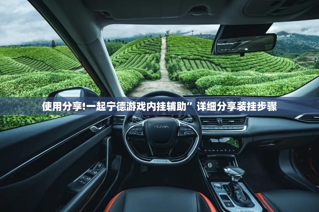 使用分享!一起宁德游戏内挂辅助”详细分享装挂步骤