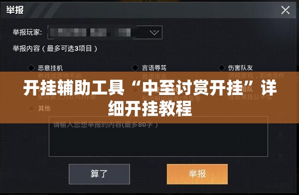 开挂辅助工具“中至讨赏开挂”详细开挂教程