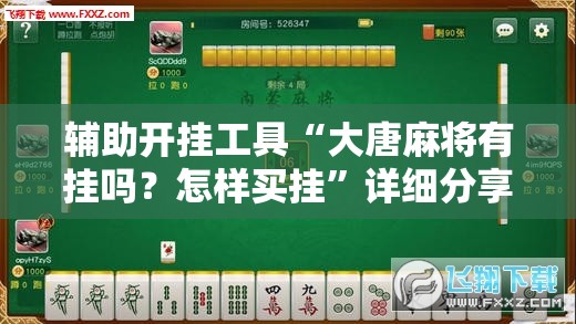 辅助开挂工具“大唐麻将有挂吗？怎样买挂”详细分享装挂步骤