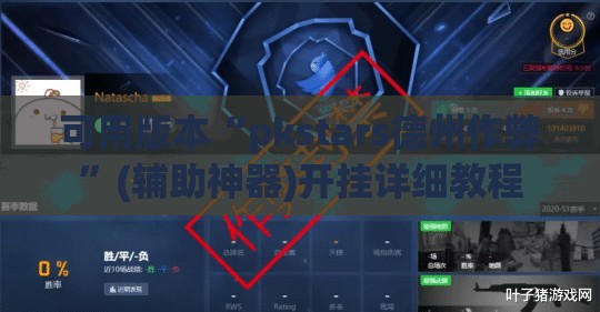 可用版本“pkstars德州作弊”(辅助神器)开挂详细教程