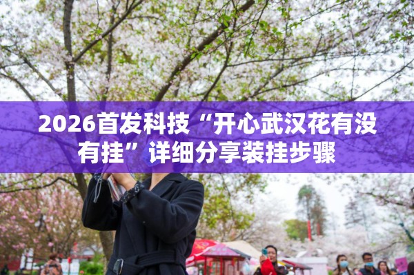 2026首发科技“开心武汉花有没有挂”详细分享装挂步骤