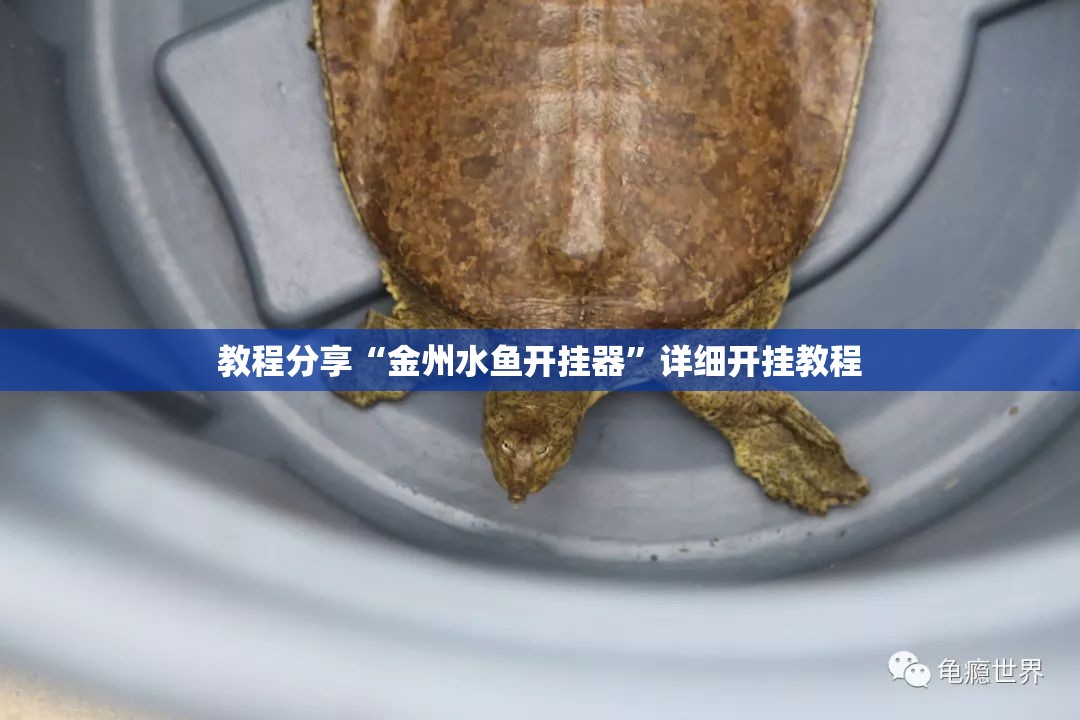 教程分享“金州水鱼开挂器”详细开挂教程