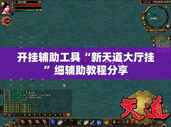 开挂辅助工具“新天道大厅挂”细辅助教程分享