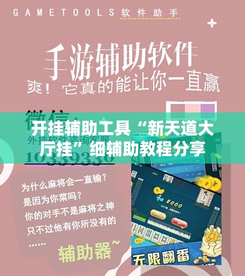 开挂辅助工具“新天道大厅挂”细辅助教程分享