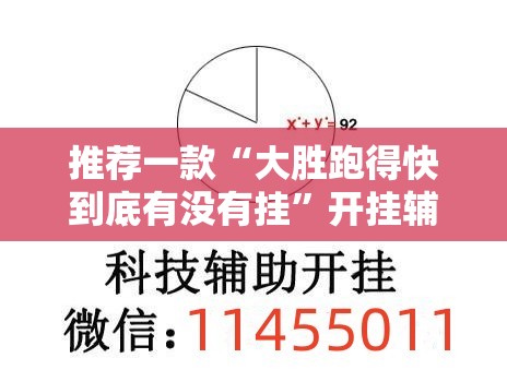 推荐一款“大胜跑得快到底有没有挂”开挂辅助脚本+详细开挂安装教程