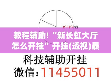 教程辅助!“新长虹大厅怎么开挂”开挂(透视)最新辅助详细