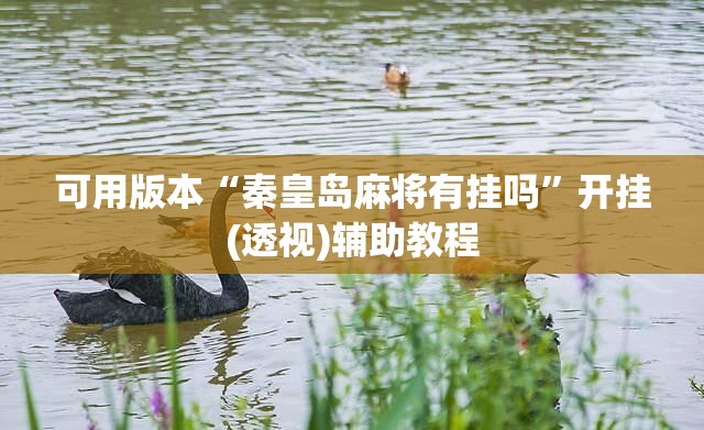 可用版本“秦皇岛麻将有挂吗”开挂(透视)辅助教程