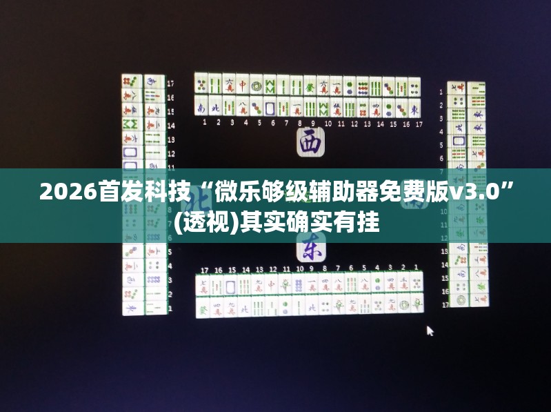 2026首发科技“微乐够级辅助器免费版v3.0”(透视)其实确实有挂