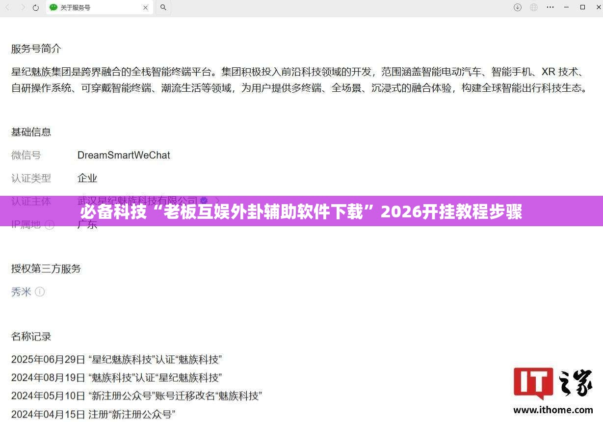 必备科技“老板互娱外卦辅助软件下载”2026开挂教程步骤