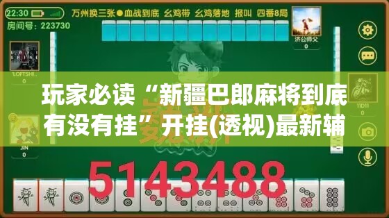 玩家必读“新疆巴郎麻将到底有没有挂”开挂(透视)最新辅助详细