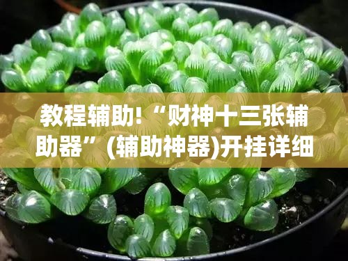 教程辅助!“财神十三张辅助器”(辅助神器)开挂详细教程