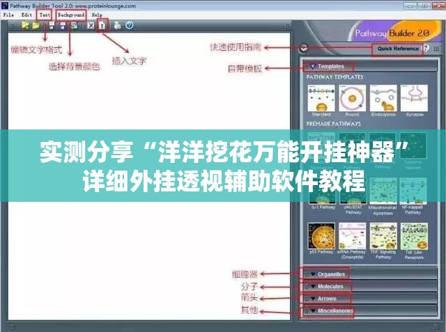 实测分享“洋洋挖花万能开挂神器”详细外挂透视辅助软件教程
