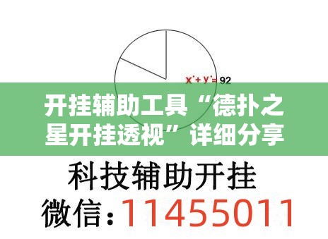 开挂辅助工具“德扑之星开挂透视”详细分享装挂步骤