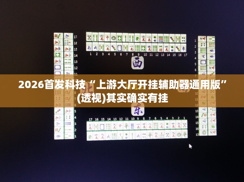 2026首发科技“上游大厅开挂辅助器通用版”(透视)其实确实有挂