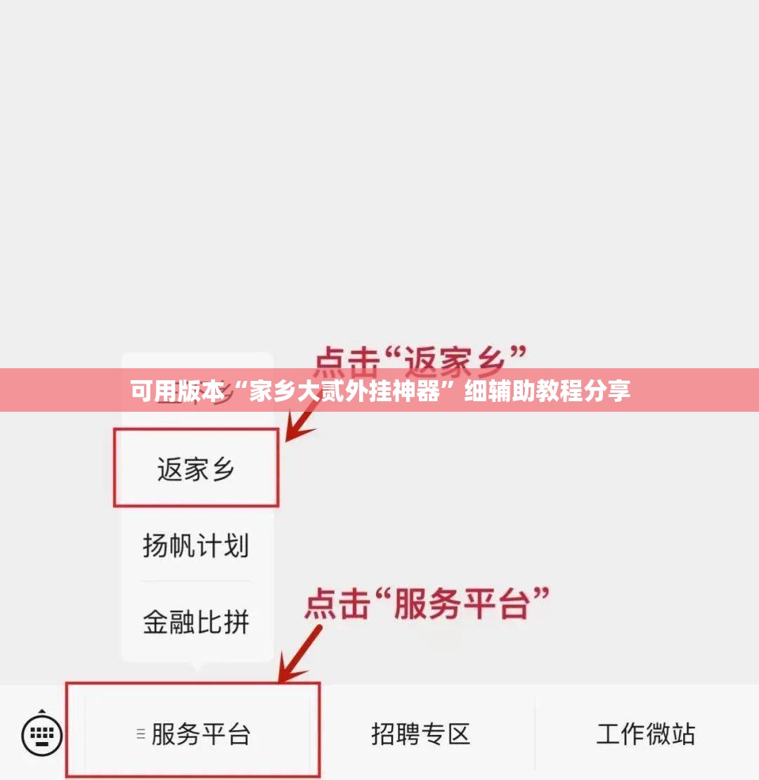 可用版本“家乡大贰外挂神器”细辅助教程分享