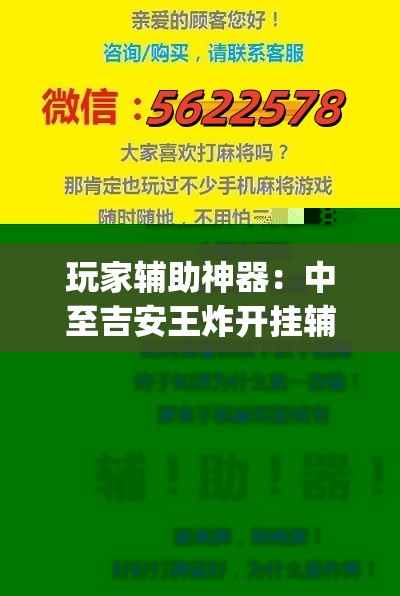 玩家辅助神器：中至吉安王炸开挂辅助器通用版(透视)”开挂辅助脚本+详细开挂安装教程