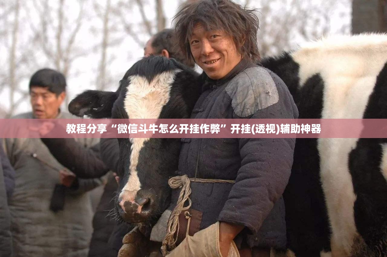 教程分享“微信斗牛怎么开挂作弊”开挂(透视)辅助神器