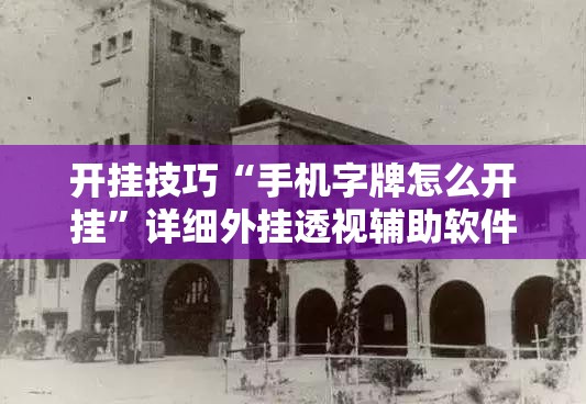 开挂技巧“手机字牌怎么开挂”详细外挂透视辅助软件教程