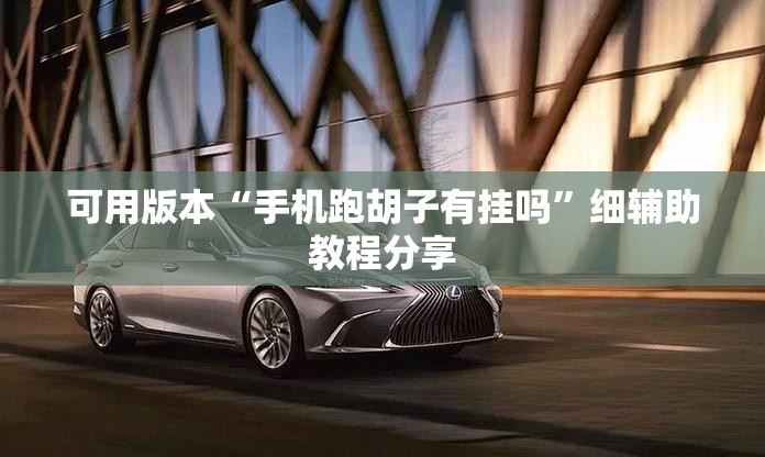 可用版本“手机跑胡子有挂吗”细辅助教程分享