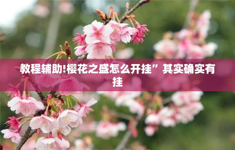 教程辅助!樱花之盛怎么开挂”其实确实有挂