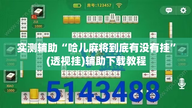 实测辅助“哈儿麻将到底有没有挂”(透视挂)辅助下载教程