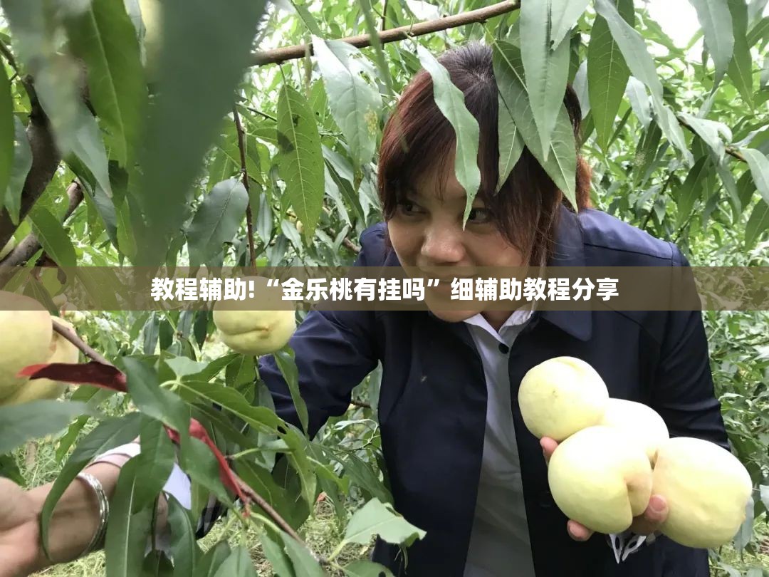 教程辅助!“金乐桃有挂吗”细辅助教程分享