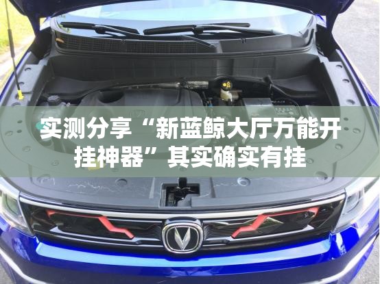 实测分享“新蓝鲸大厅万能开挂神器”其实确实有挂