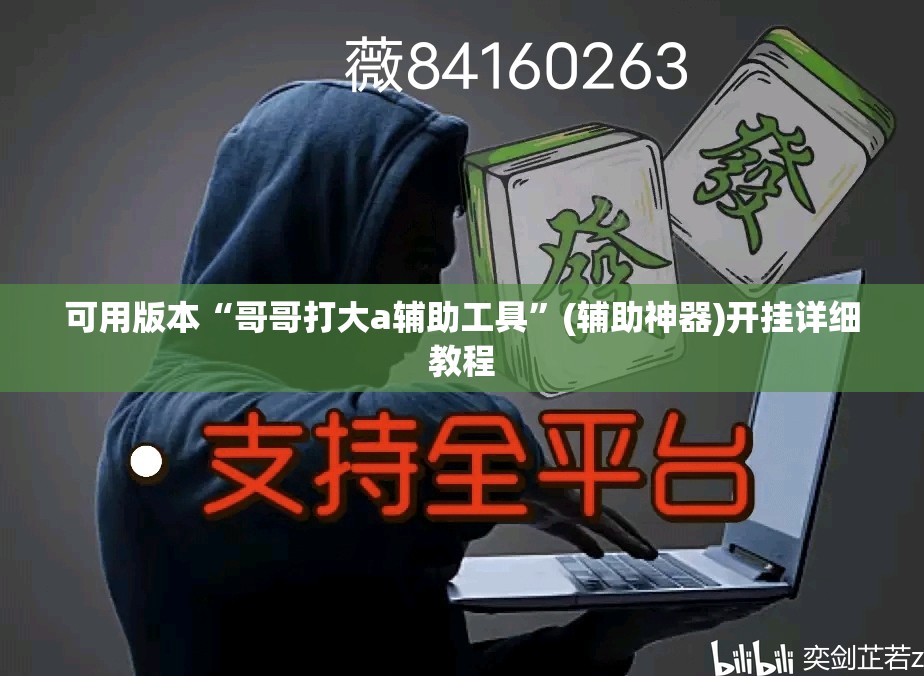 可用版本“哥哥打大a辅助工具”(辅助神器)开挂详细教程