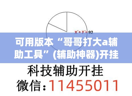 可用版本“哥哥打大a辅助工具”(辅助神器)开挂详细教程