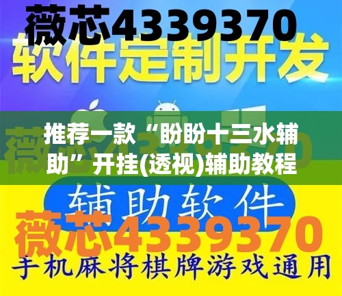 推荐一款“盼盼十三水辅助”开挂(透视)辅助教程