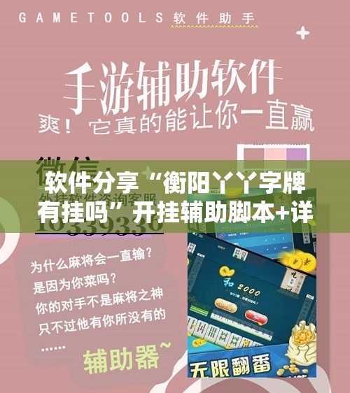 软件分享“衡阳丫丫字牌有挂吗”开挂辅助脚本+详细开挂安装教程