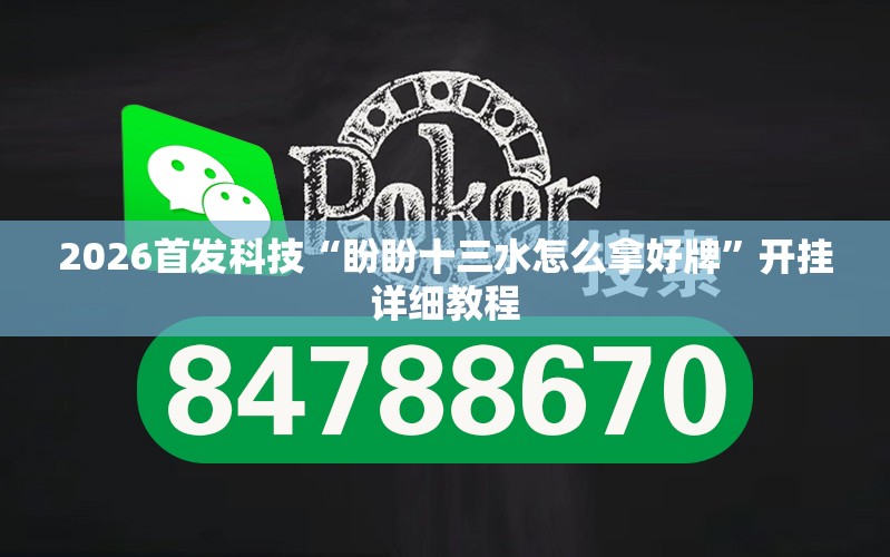 2026首发科技“盼盼十三水怎么拿好牌”开挂详细教程