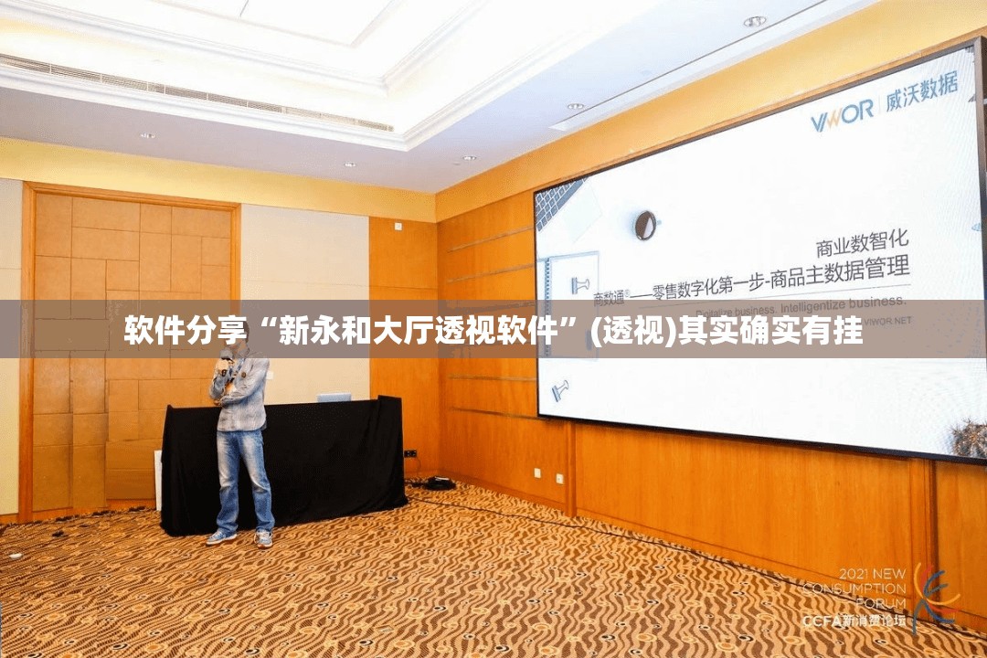 软件分享“新永和大厅透视软件”(透视)其实确实有挂