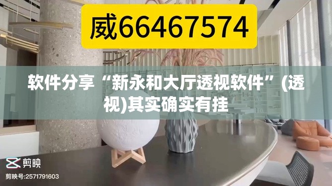 软件分享“新永和大厅透视软件”(透视)其实确实有挂