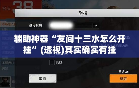 辅助神器“友间十三水怎么开挂”(透视)其实确实有挂