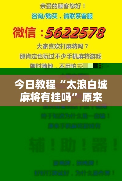 今日教程“太浪白城麻将有挂吗”原来可以开挂