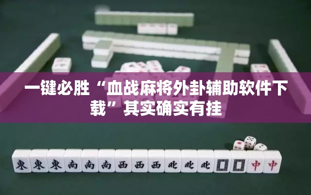 一键必胜“血战麻将外卦辅助软件下载”其实确实有挂